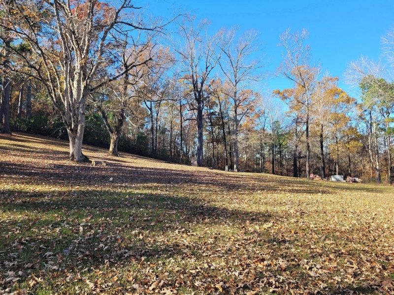 The view of the Francis Marcus Weatherred Marker across the Milam Cemetery. Click for full size. The view of the Francis Marcus Weatherred Marker across the Milam Cemetery image. Click for full size.