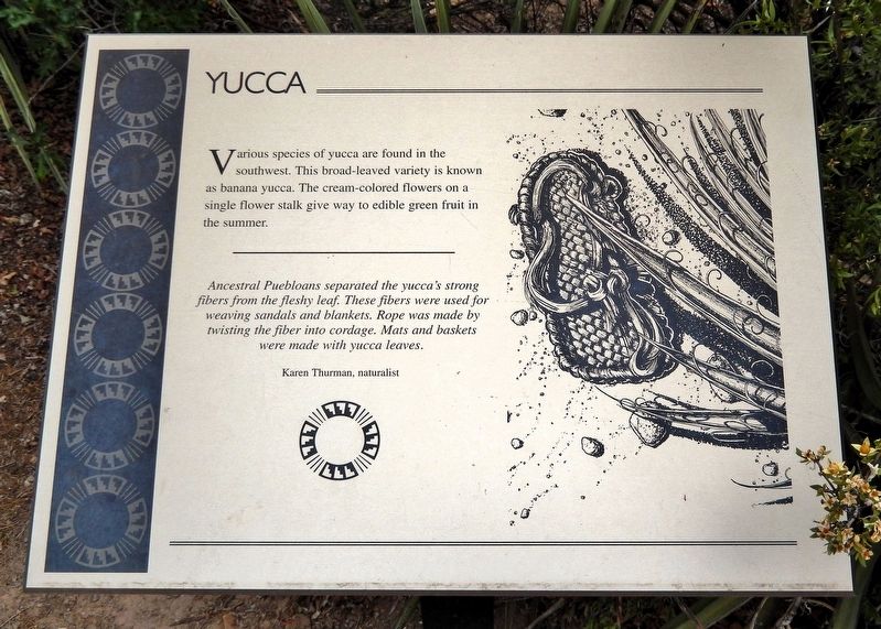 Yucca Marker image. Click for full size.