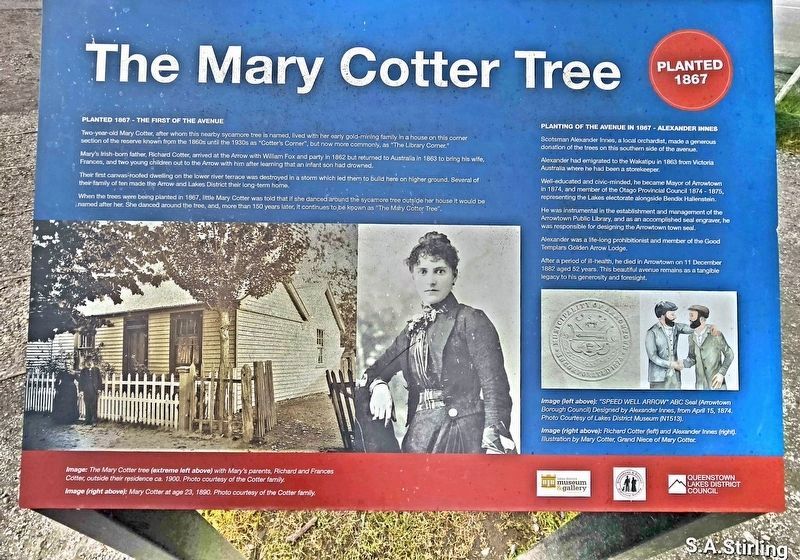 The Mary Cotter Tree Marker image. Click for full size.