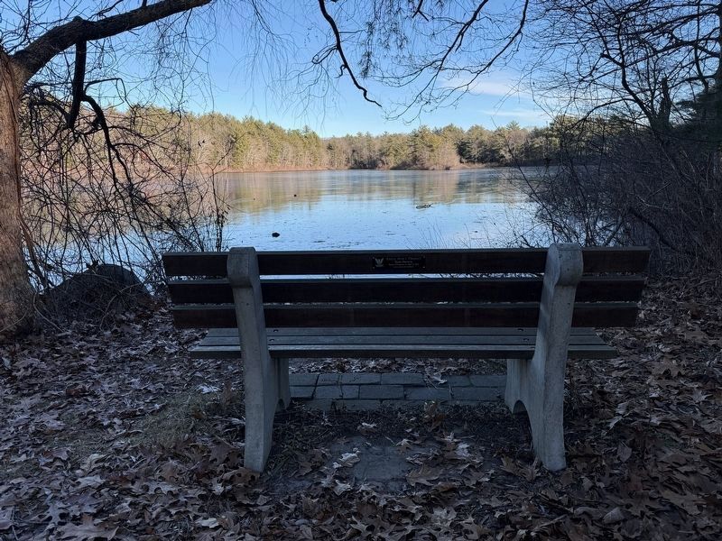 Triphammer Pond image. Click for full size.