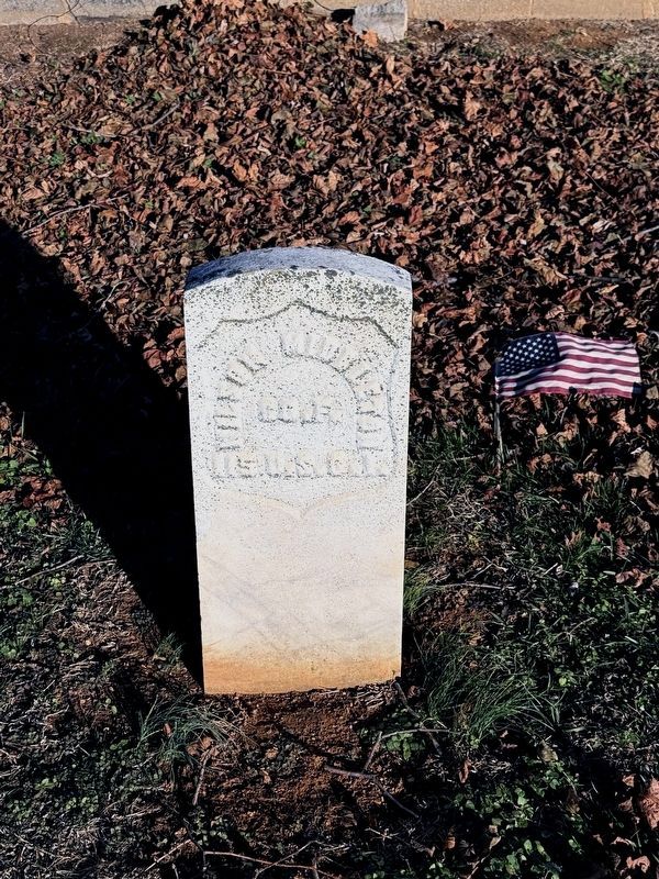 Wilson Middleton image. Click for full size.