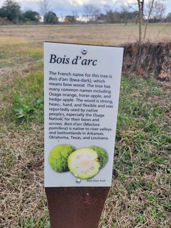 Bois d'arc Marker. Click for full size. Bois d'arc Marker image. Click for full size.