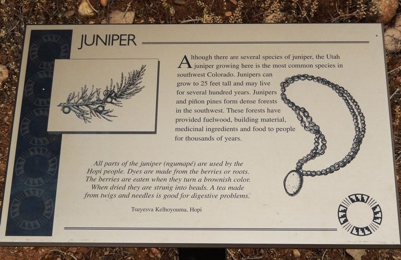 Juniper Marker. Click for full size. Juniper Marker image. Click for full size.