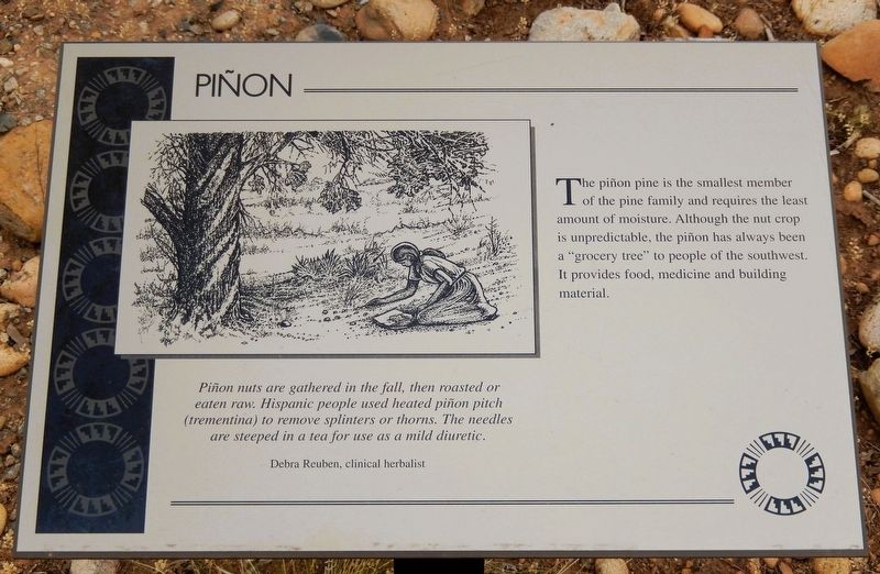 Piñon Marker. Click for full size. Piñon Marker image. Click for full size.