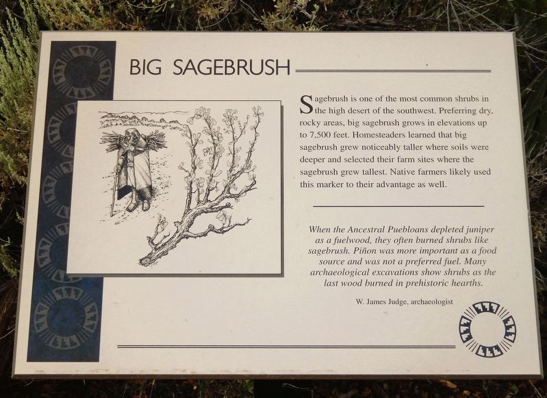 Big Sagebrush Marker. Click for full size. Big Sagebrush Marker image. Click for full size.