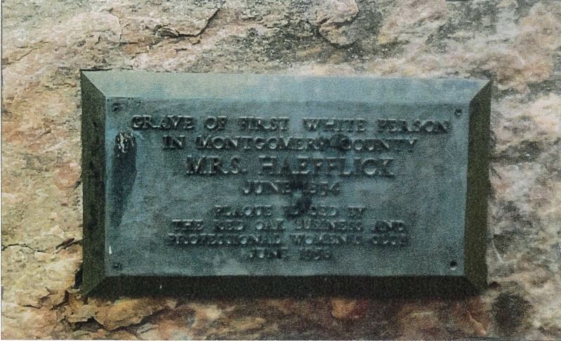 Mrs. Haefflick Grave Site Marker image. Click for full size.