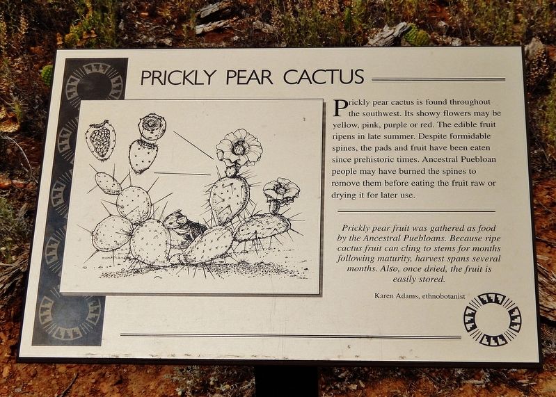 Prickly Pear Cactus Marker image. Click for full size.