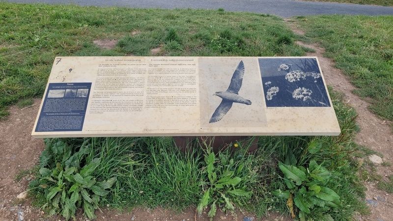 Un site naturel remarquable / A remarkable natural environment Marker image. Click for full size.
