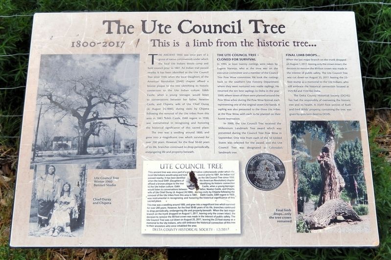 The Ute Council Tree Marker image. Click for full size.