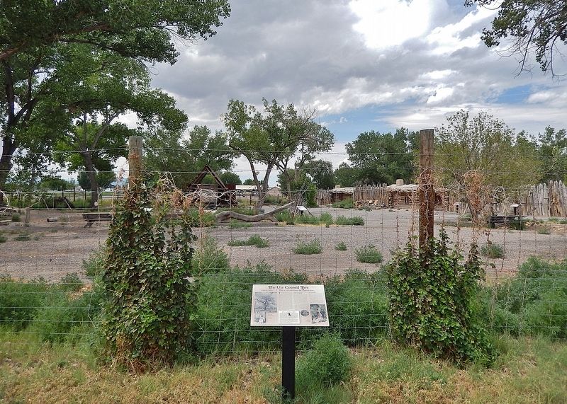 The Ute Council Tree Marker image. Click for full size.