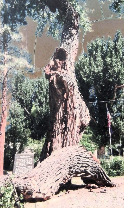 Marker detail: Final Limb Drops image. Click for full size.