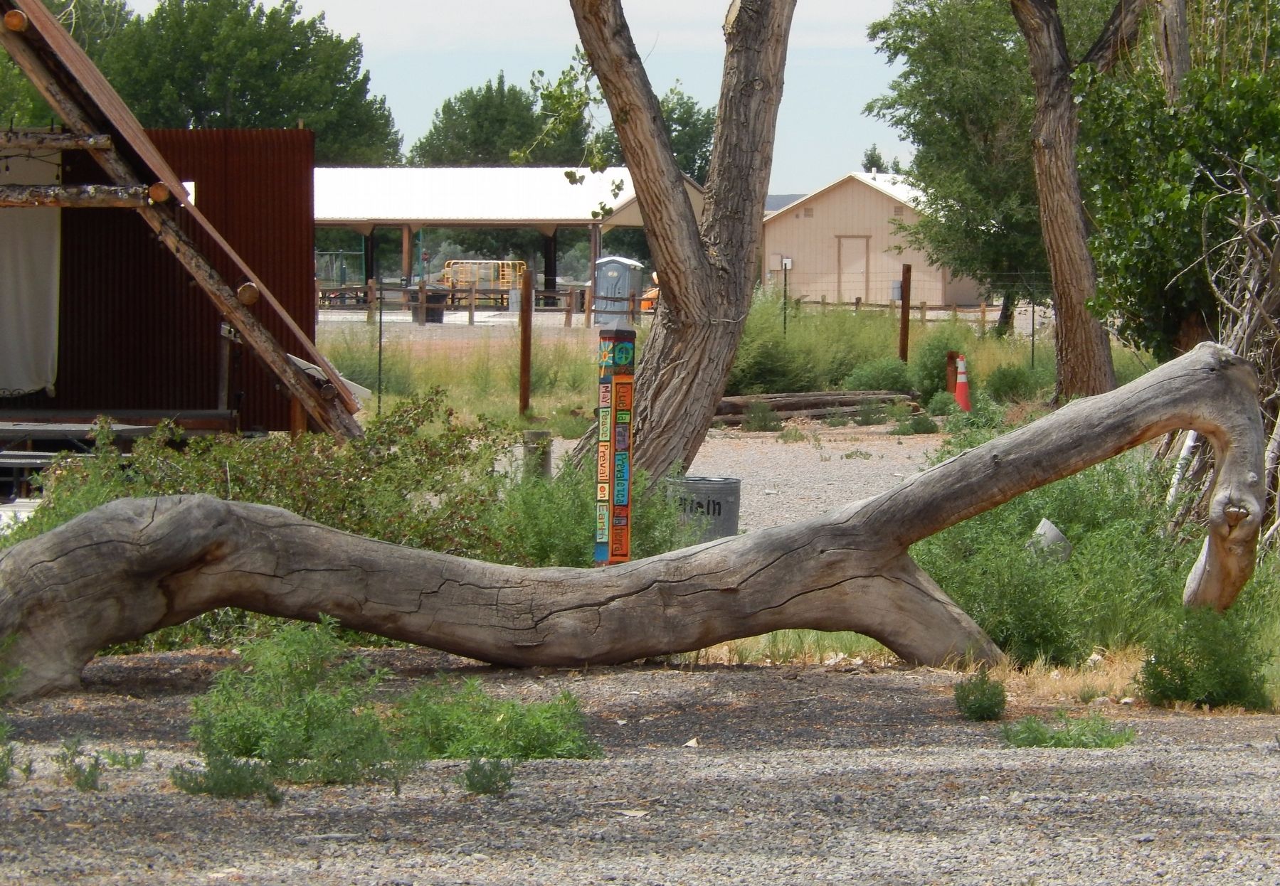 Ute Council Tree � The Last Remaining Limb image. Click for full size.