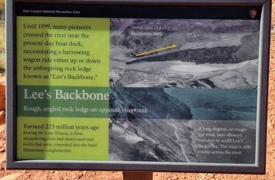 Lee's Backbone Marker image. Click for full size.