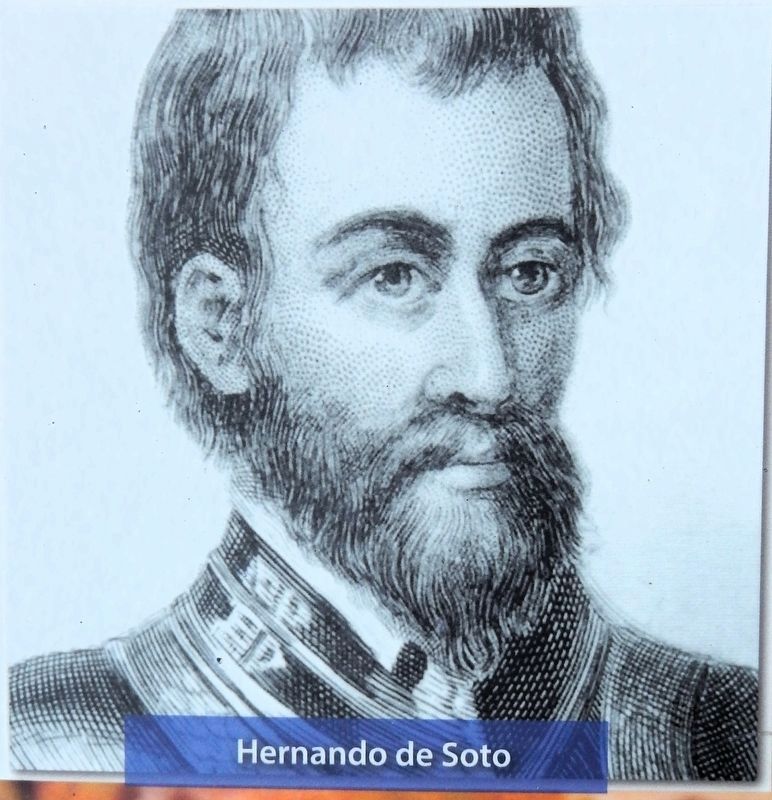 Marker detail: Hernando de Soto image. Click for full size.