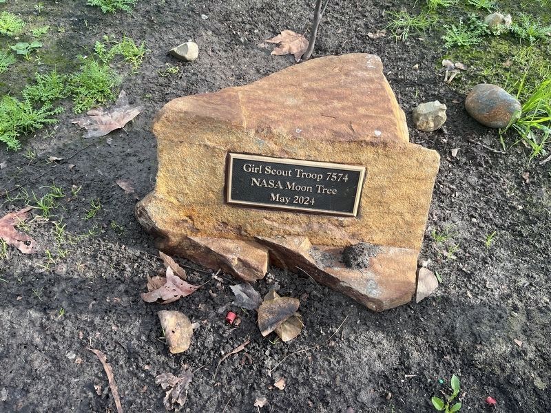 Moon Tree plaque. Click for full size. Moon Tree plaque image. Click for full size.