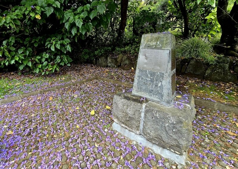 Wide-view of Auckland Provincial Surveyors Association Marker. Click for full size. Wide-view of Auckland Provincial Surveyors Association Marker image. Click for full size.