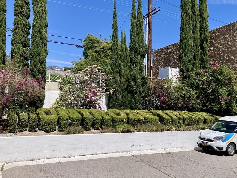 "Secret Garden" Topiary. Click for full size. "Secret Garden" Topiary image. Click for full size.