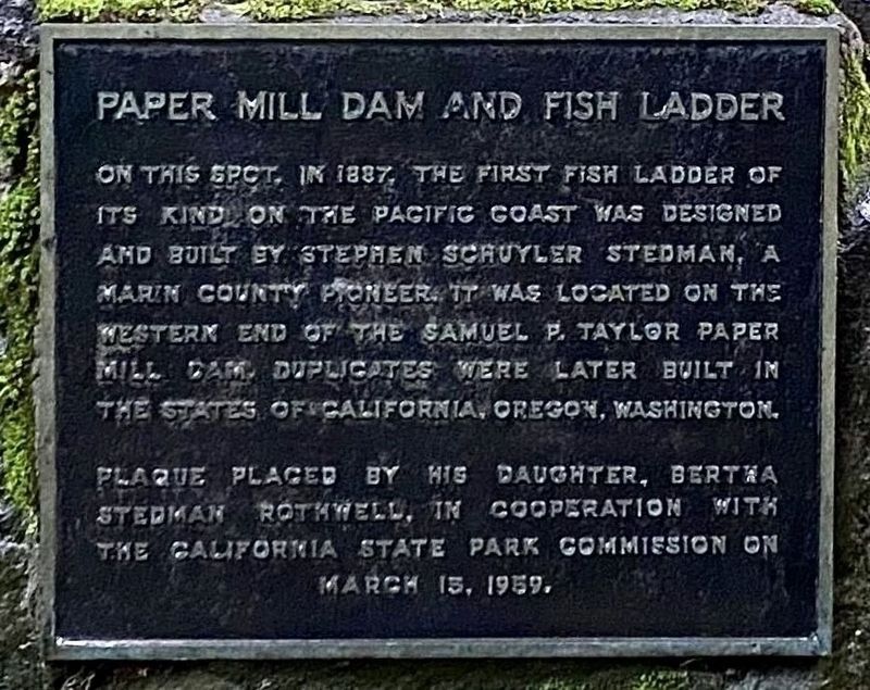 Paper Mill Dam and Fish Ladder Marker. Click for full size. Paper Mill Dam and Fish Ladder Marker image. Click for full size.