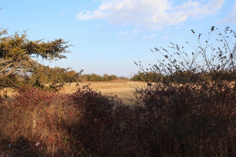 Lee's Hillock image. Click for full size.