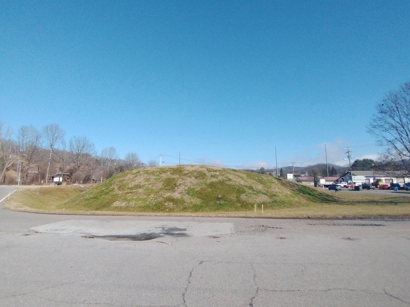 Nikwasi Mound image. Click for full size.