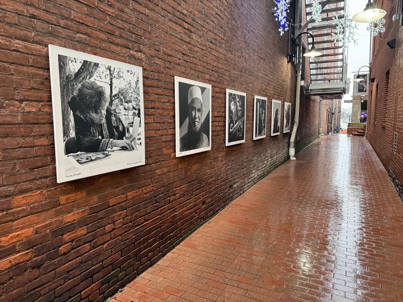 Art along the alleyway image. Click for full size.