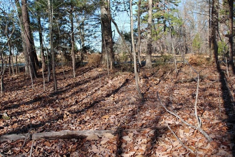 Longstreet's Earthworks image. Click for full size.