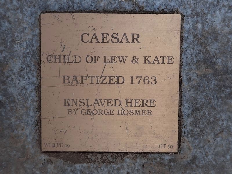 Caesar Witness Stone image. Click for full size.