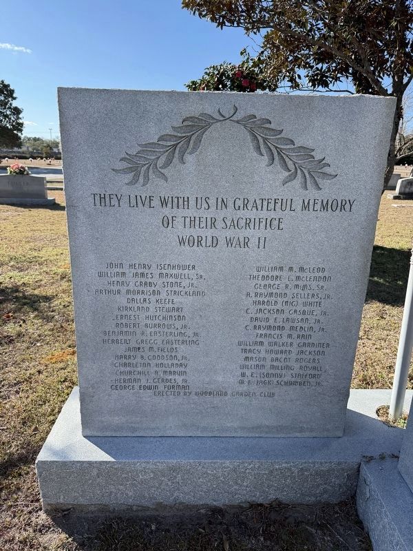 World War II Memorial image. Click for full size.