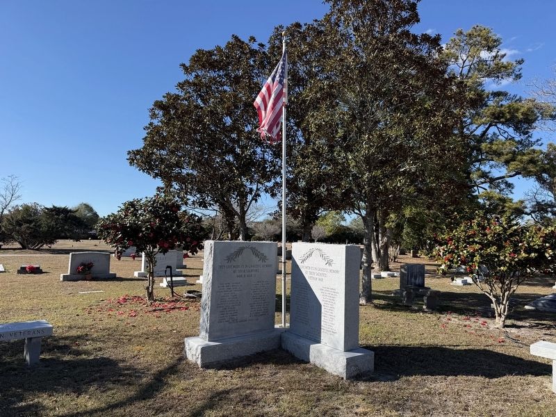 World War II and Vietnam Memorials image. Click for full size.