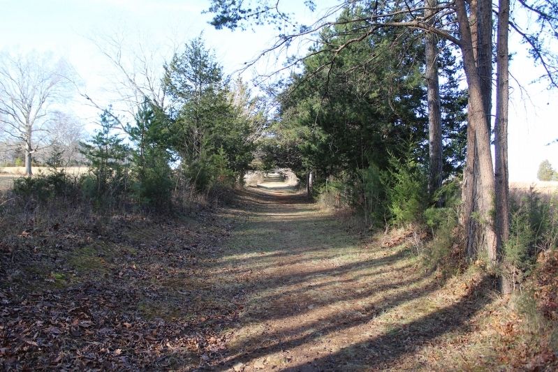 Sears Lane Road Trace image. Click for full size.