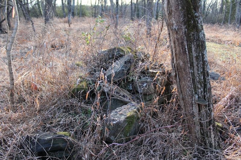 Coleman House Chimney Ruins image. Click for full size.