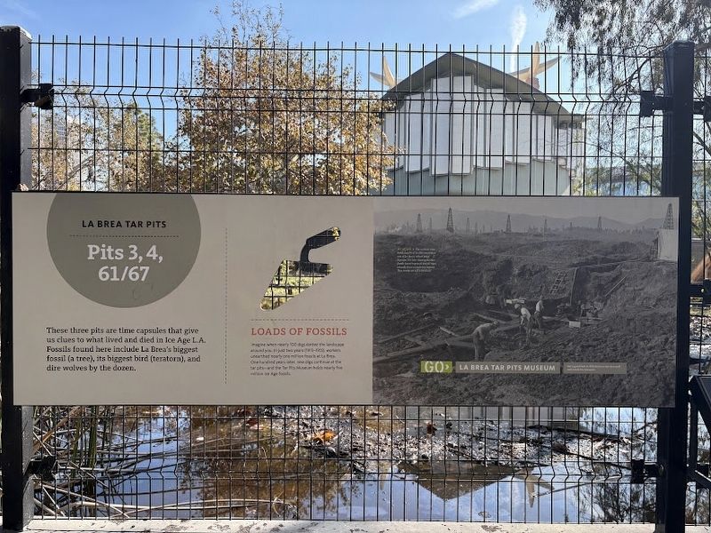 Pits 3, 4, 61/67 Marker image. Click for full size.