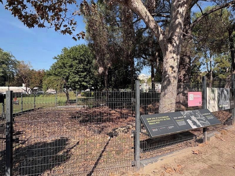 A photo of the small tar pit that produced the remains of 27 Columbian mammoths.. Click for full size. A photo of the small tar pit that produced the remains of 27 Columbian mammoths. image. Click for full size.