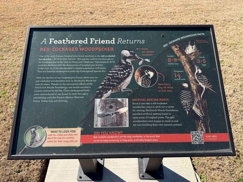 A Feathered Friend Returns Marker image. Click for full size.