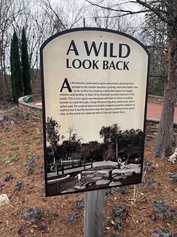 A Wild Look Back Marker image. Click for full size.