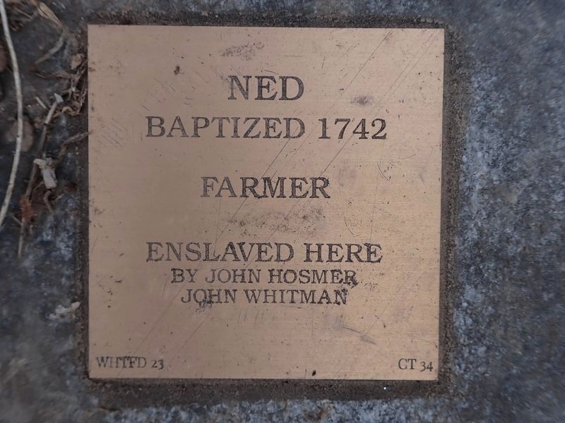 Ned Witness Stone. Click for full size. Ned Witness Stone image. Click for full size.