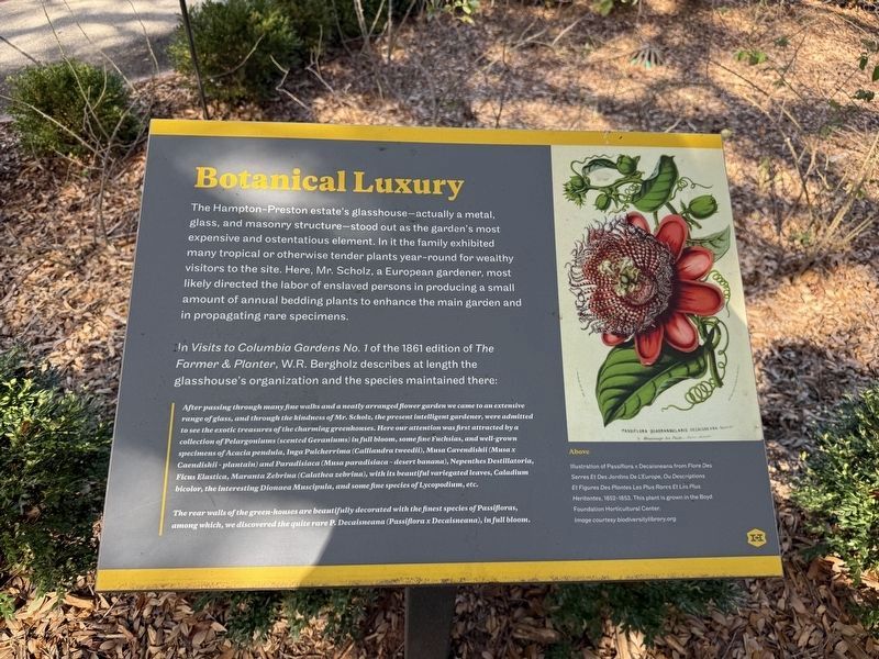 Botanical Luxury Marker image. Click for full size.