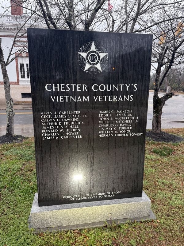 Vietnam Veterans image. Click for full size.
