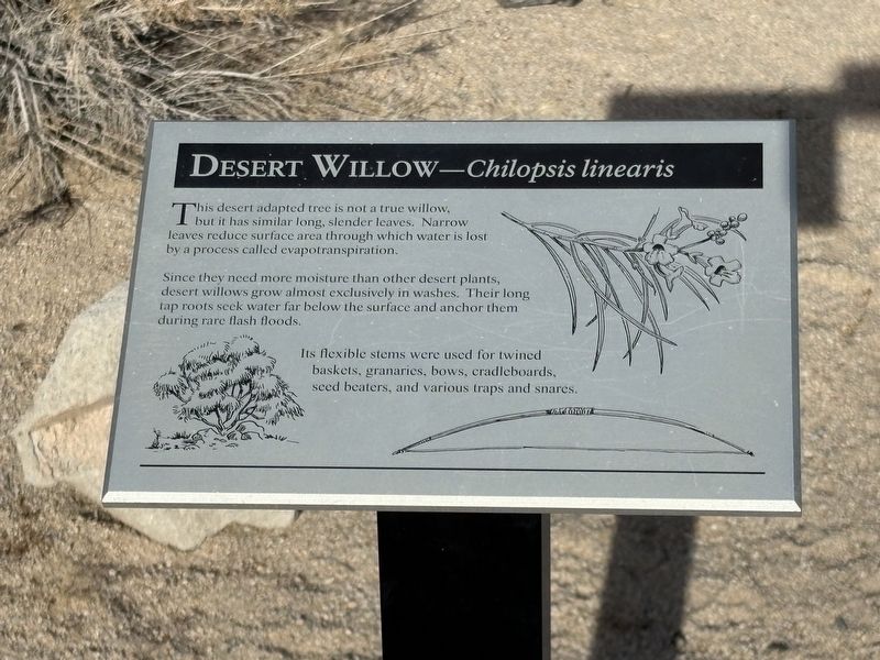 Desert Willow Marker. Click for full size. Desert Willow Marker image. Click for full size.