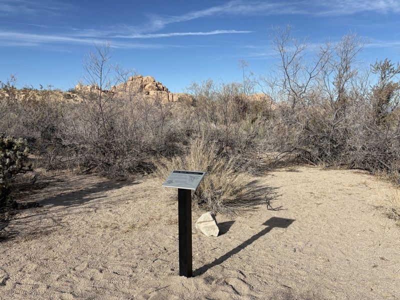 Desert Willow Marker. Click for full size. Desert Willow Marker image. Click for full size.