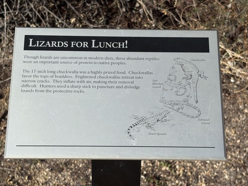 Lizards for Lunch! Marker. Click for full size. Lizards for Lunch! Marker image. Click for full size.
