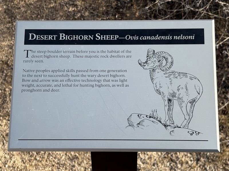 Desert Bighorn Sheep Marker. Click for full size. Desert Bighorn Sheep Marker image. Click for full size.
