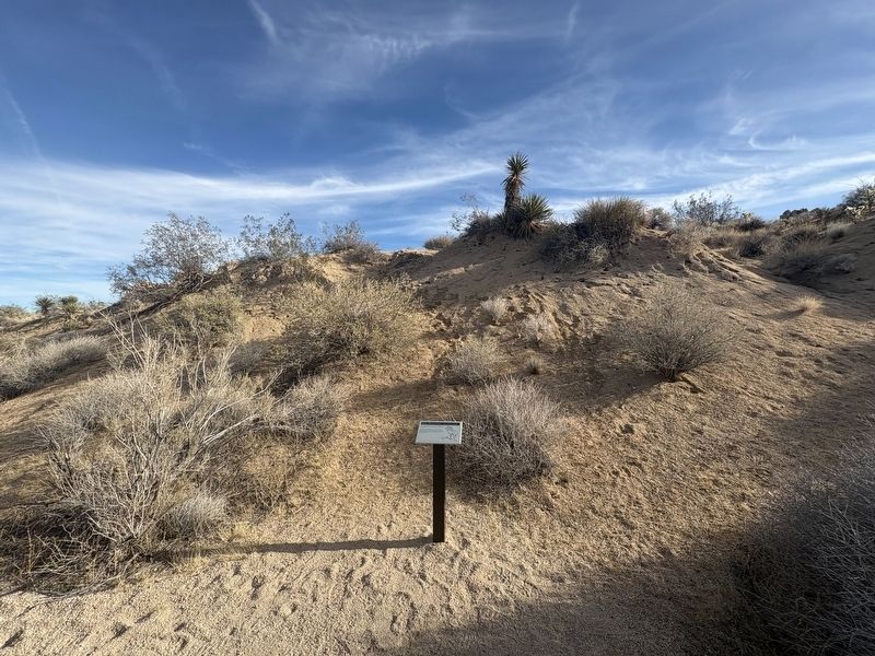 Desert Bighorn Sheep Marker. Click for full size. Desert Bighorn Sheep Marker image. Click for full size.