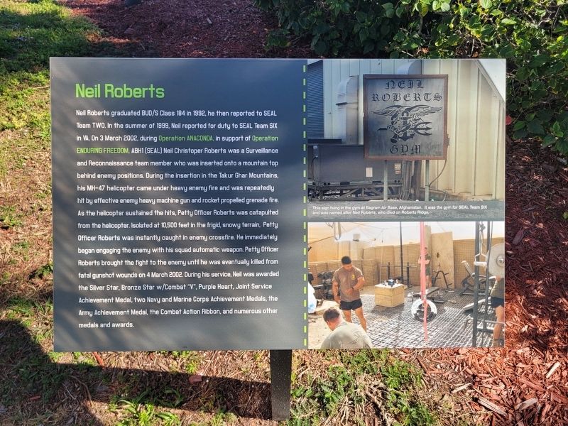 Neil Roberts Marker image. Click for full size.