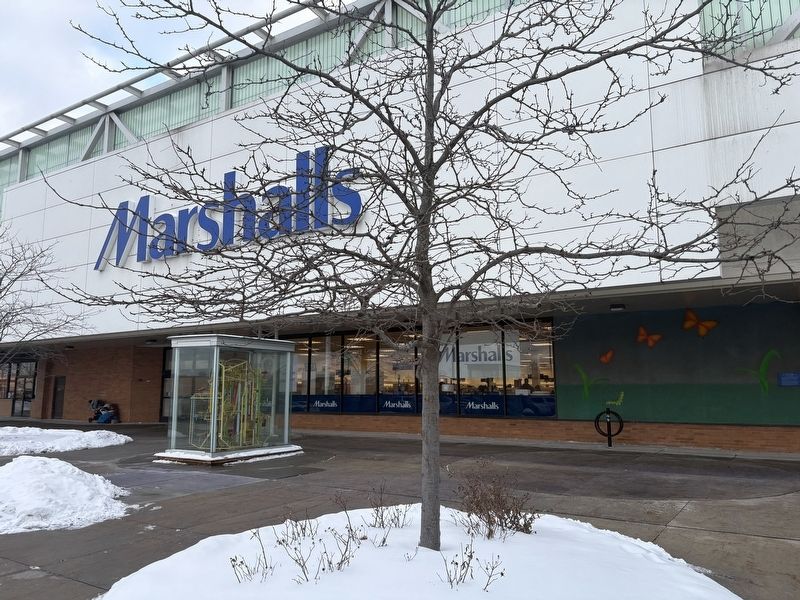 Ever-Blooming Night and Day Flowers, in front of Marshalls image. Click for full size.