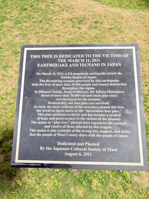 Dedicated to the victims of the March 11, 2011 earthquake and tsunami in Japan Marker image. Click for full size.