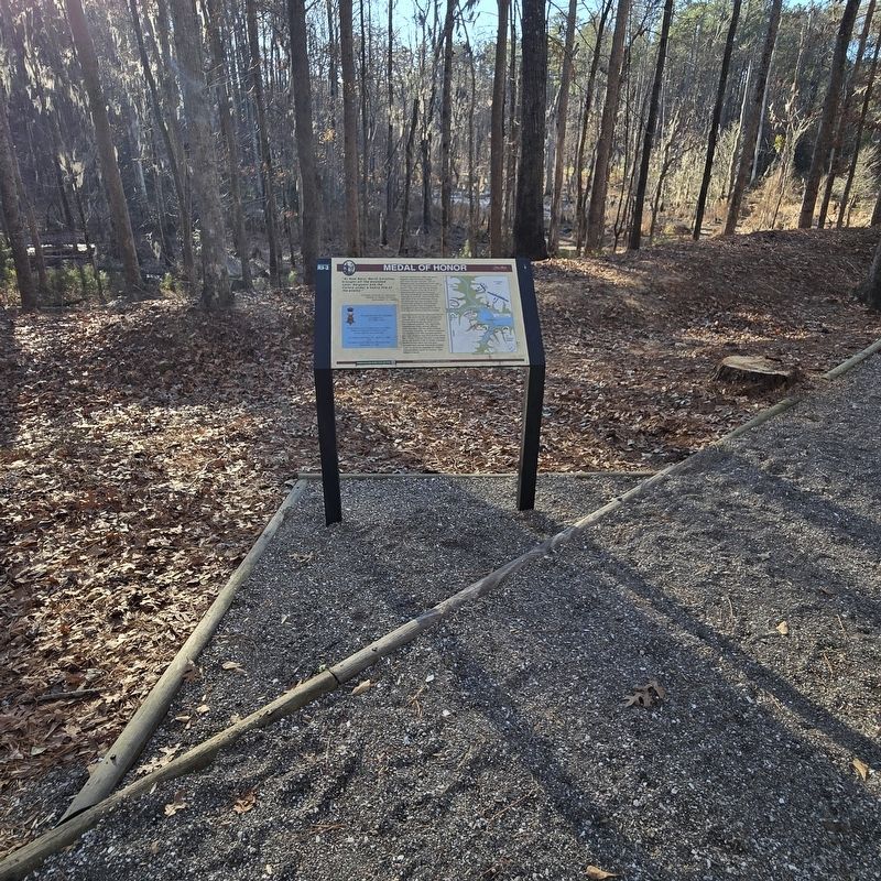 Medal of Honor Marker. Click for full size. Medal of Honor Marker image. Click for full size.