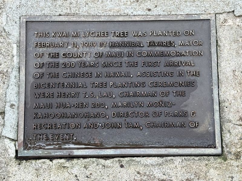 In Commemmoration of the 200 Years Since the First Arrival of the Chinese in Hawaii Marker image. Click for full size.