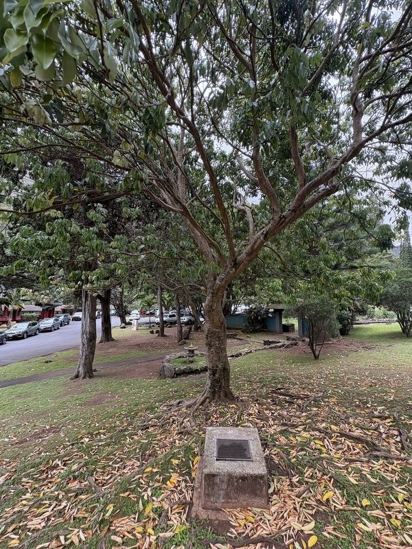 In Commemmoration of the 200 Years Since the First Arrival of the Chinese in Hawaii Marker image. Click for full size.
