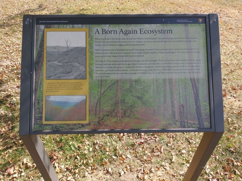 A Born Again Ecosystem Marker. Click for full size. A Born Again Ecosystem Marker image. Click for full size.